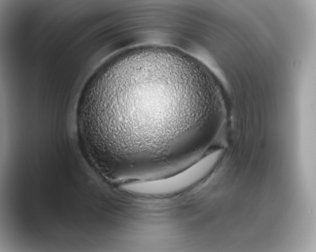 X0000089760972200707051830