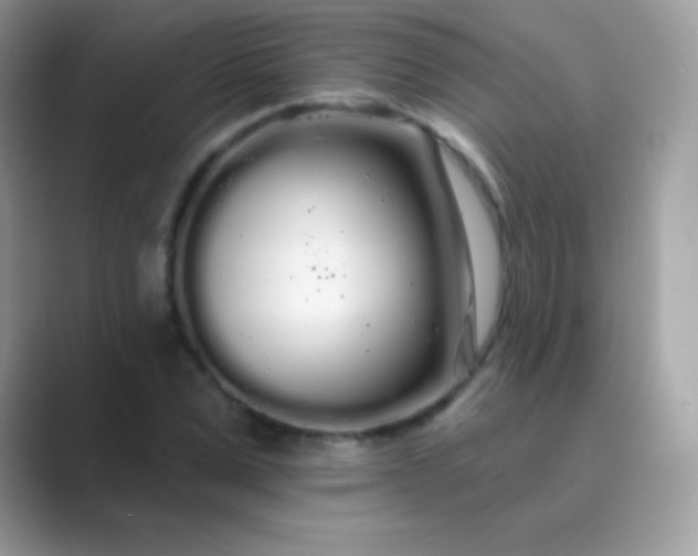 X0000089760975200707051830