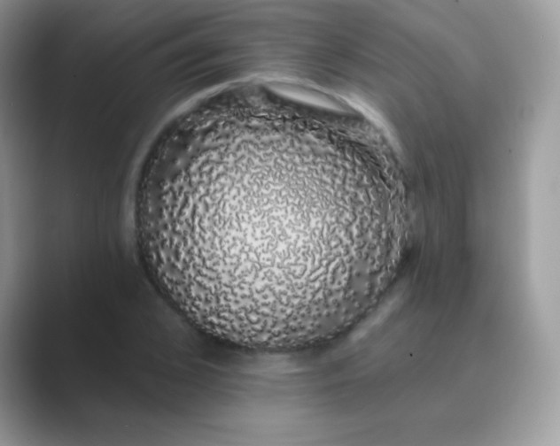 X0000089760976200707051830