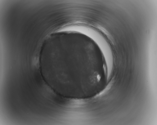 X0000089760977200707051830