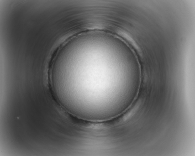 X0000089760978200707051830