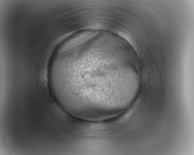 X0000089760979200707051830