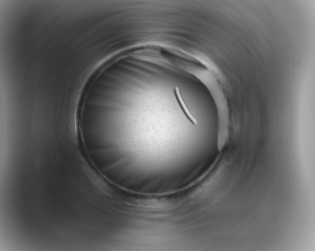 X0000089760980200707051830