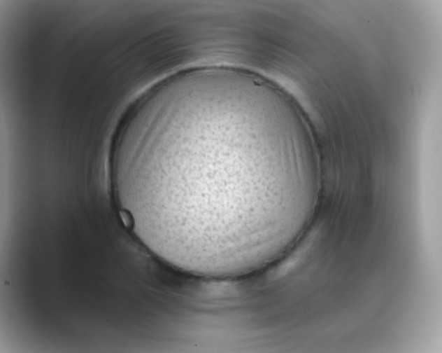 X0000089760982200707051830