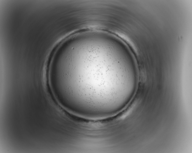 X0000089760983200707051830