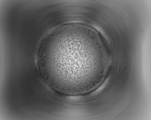 X0000089760985200707051830