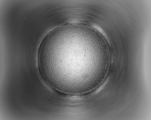 X0000089760986200707051830