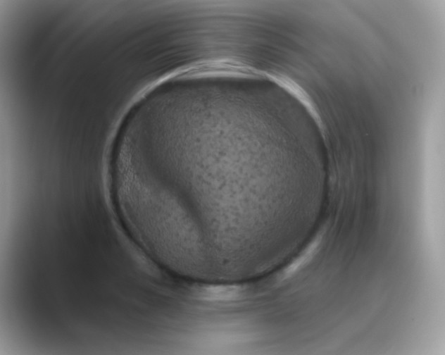 X0000089760989200707051830