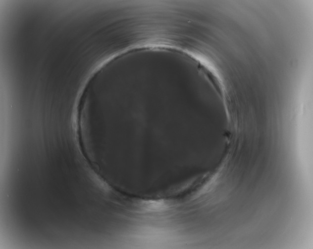 X0000089760990200707051830