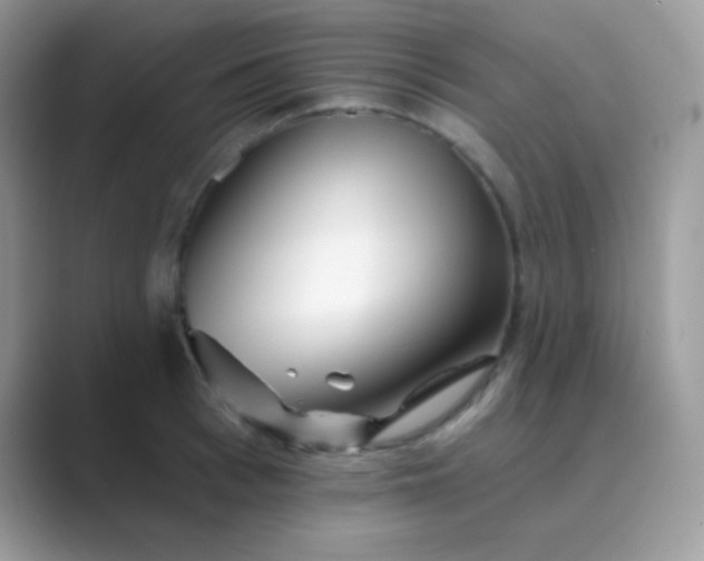 X0000089760993200707051830