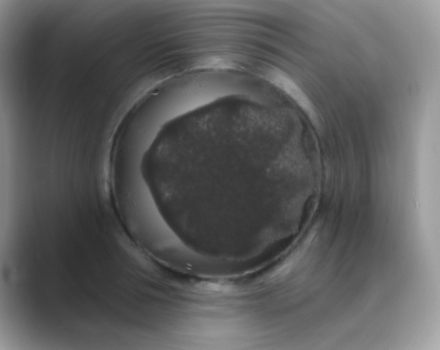 X0000089760994200707051830