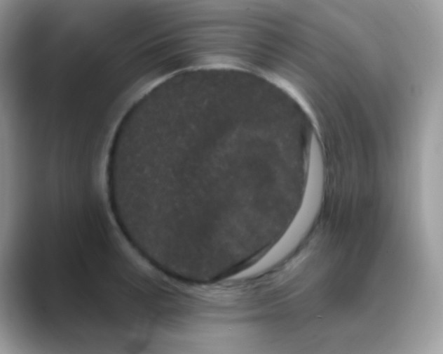 X0000089760995200707051830