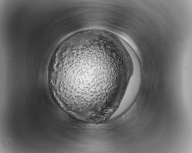 X0000089760996200707051830