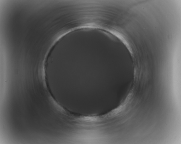 X0000089760998200707051830