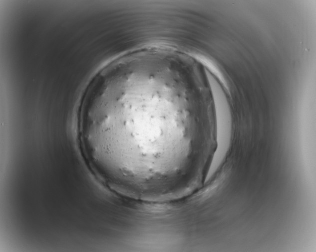 X0000089760999200707051830