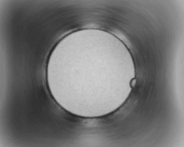 X0000089761000200707051830