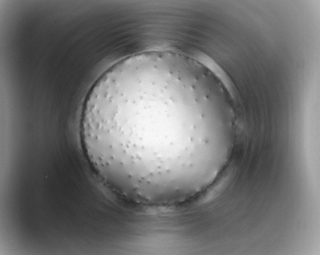 X0000089761002200707051830