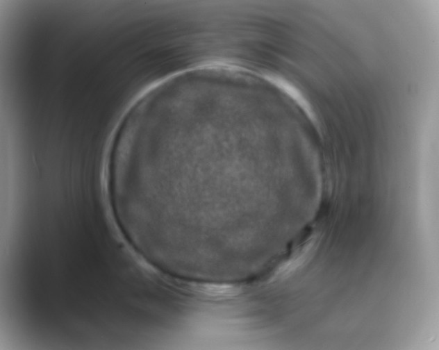 X0000089761007200707051830