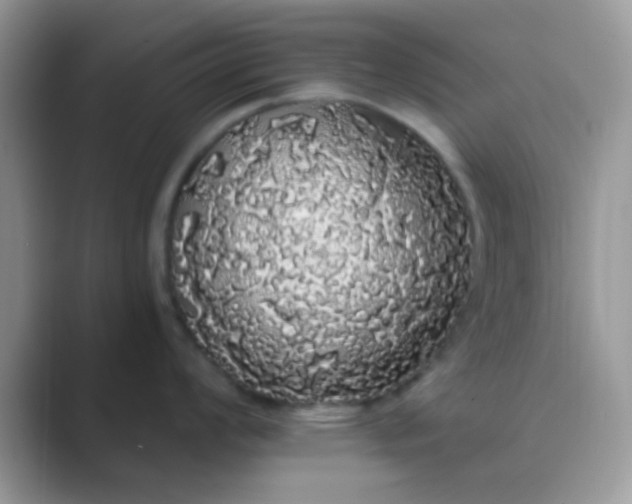 X0000089761008200707051830