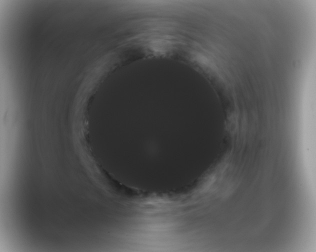 X0000089761009200707051829