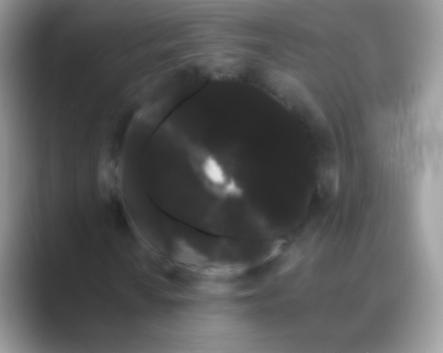 X0000089761010200707051829