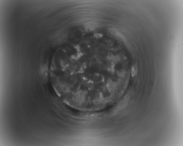 X0000089761011200707051829