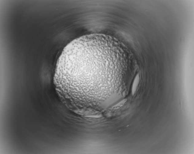 X0000089761012200707051829