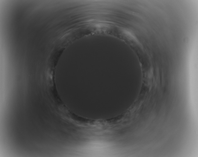 X0000089761013200707051829