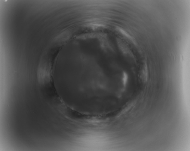 X0000089761014200707051829