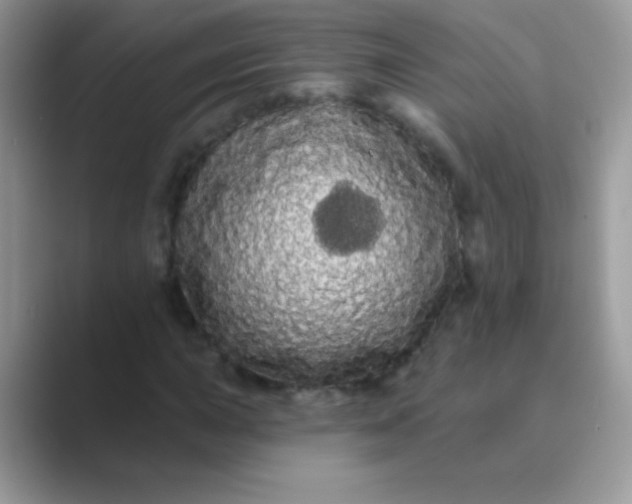 X0000089761015200707051829