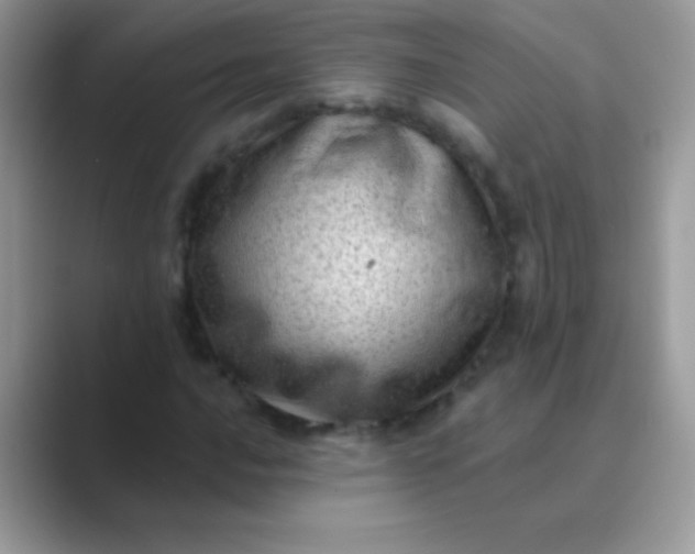 X0000089761016200707051829