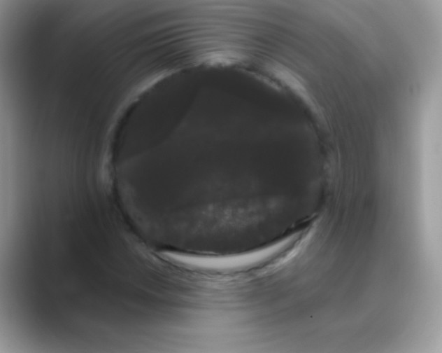 X0000089761018200707051829