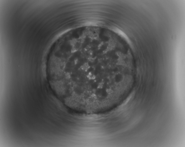 X0000089761019200707051829