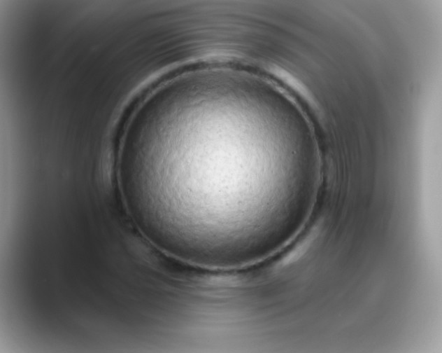 X0000089761021200707051829