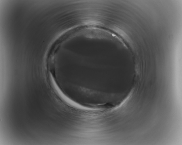 X0000089761022200707051829