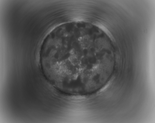 X0000089761023200707051829