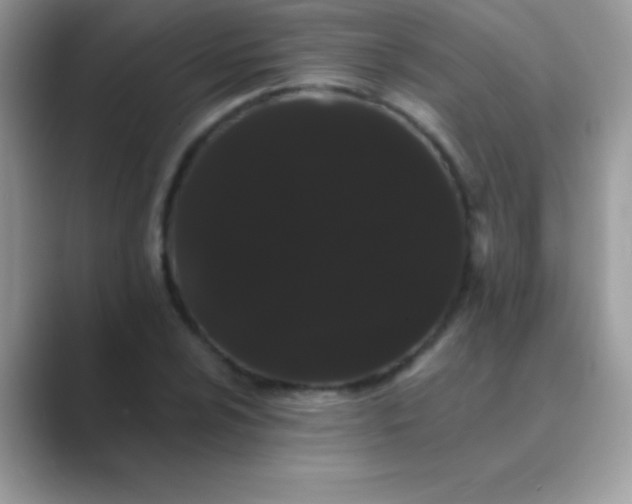 X0000089761024200707051829