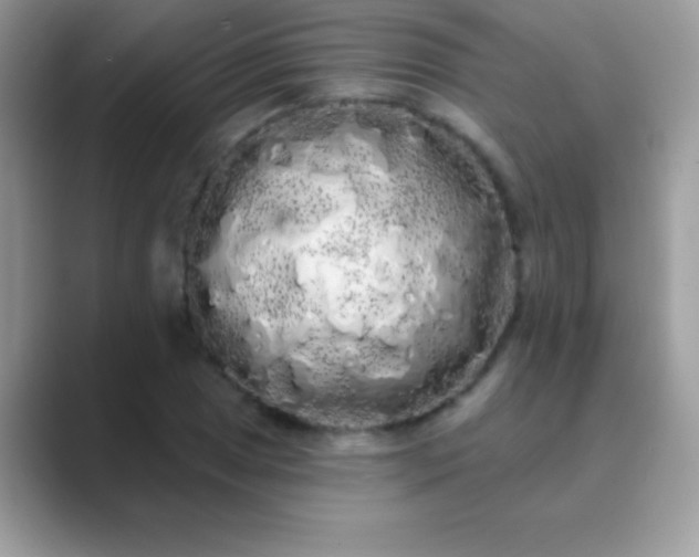 X0000089761025200707051829