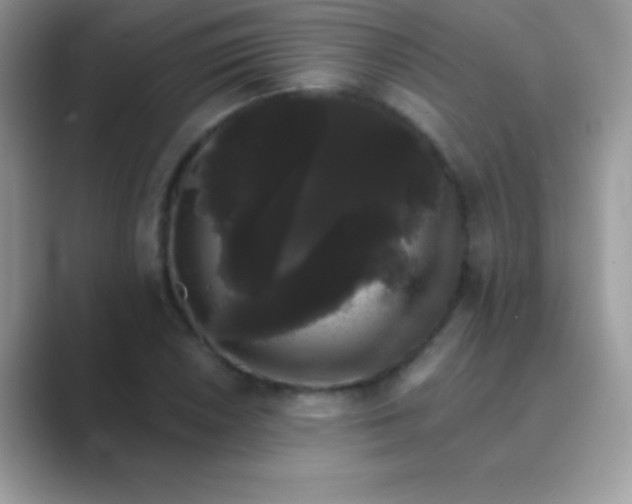 X0000089761026200707051829