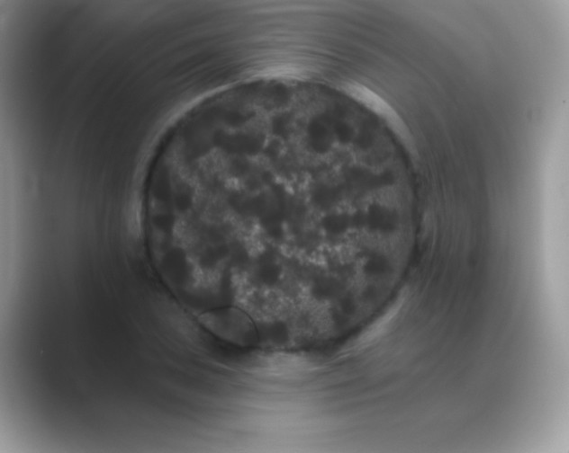 X0000089761027200707051829