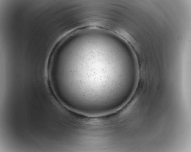 X0000089761028200707051829