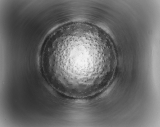 X0000089761029200707051829