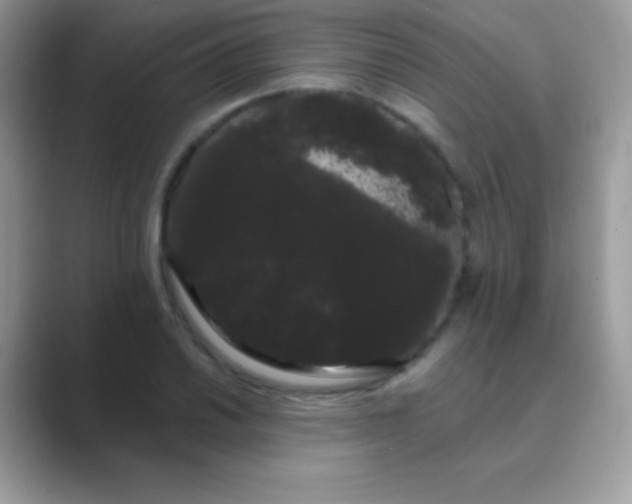 X0000089761030200707051829