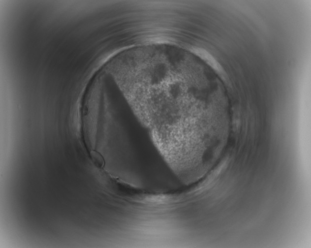 X0000089761031200707051829