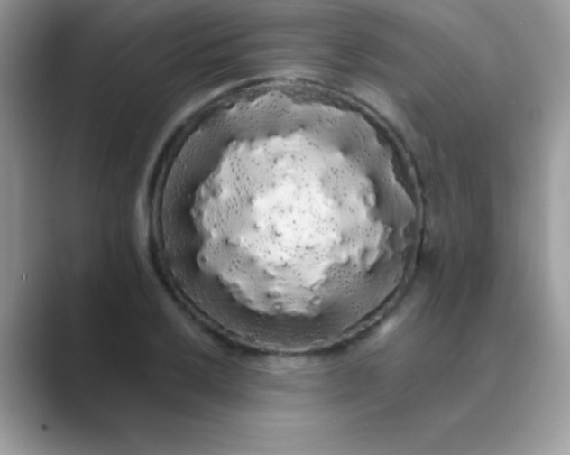 X0000089761032200707051829