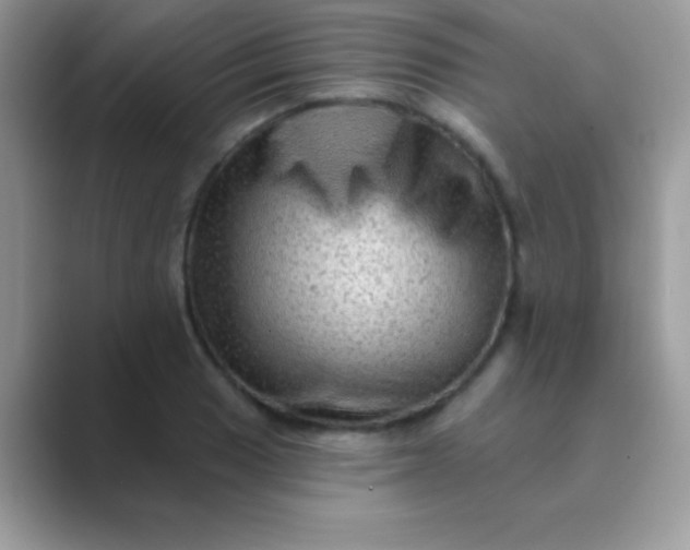 X0000089761033200707051829