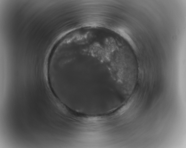 X0000089761035200707051829