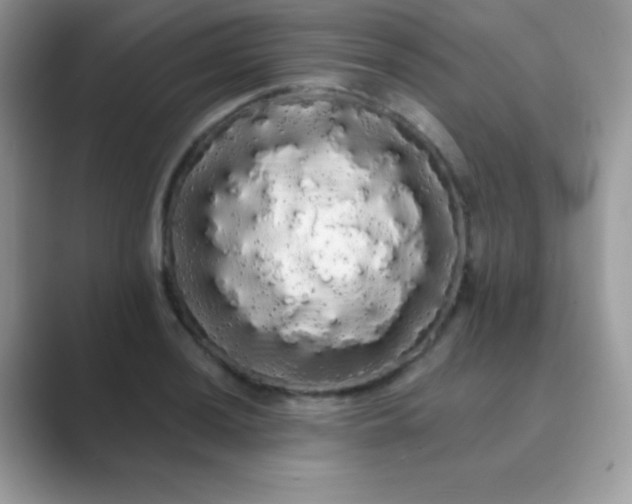 X0000089761036200707051829