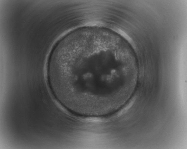 X0000089761037200707051829