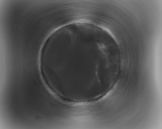 X0000089761038200707051829